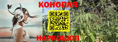 PSILOCYBIN Ирбит