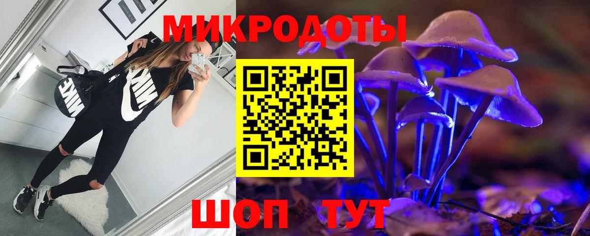 Галлюциногенные грибы Psilocybe  Псилоцибиновые грибы прущие грибы  Мариинск  Вход с VPN 